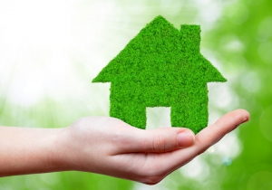 Landlords Looking To Go Green?