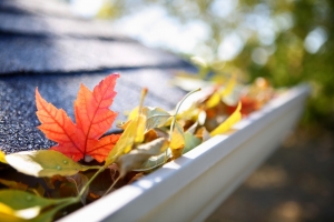 October Jobs: How to prepare your home and garden for autumn