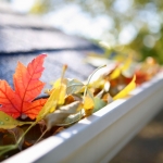 October Jobs: How to prepare your home and garden for autumn