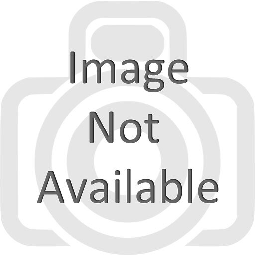 Alvanley View, Elton